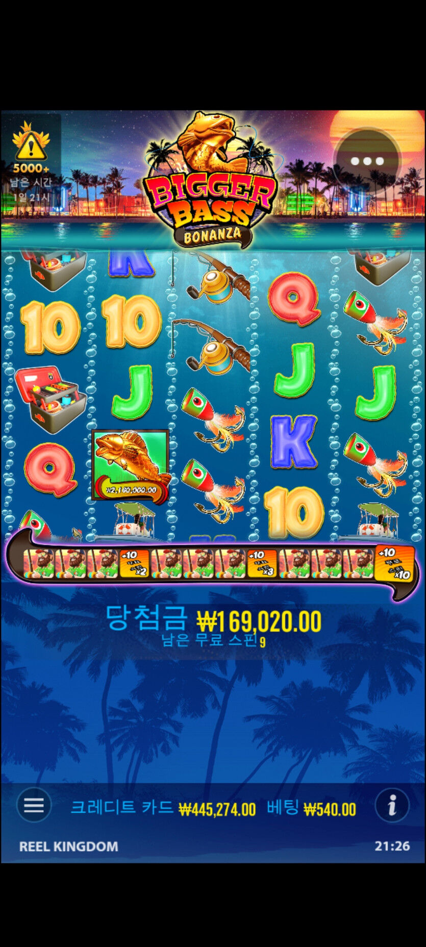 핑카 후기(0)