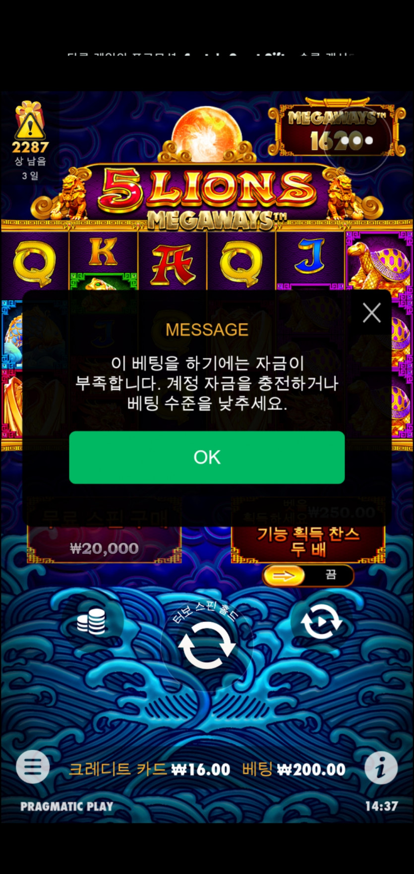 오라메후기(1)
