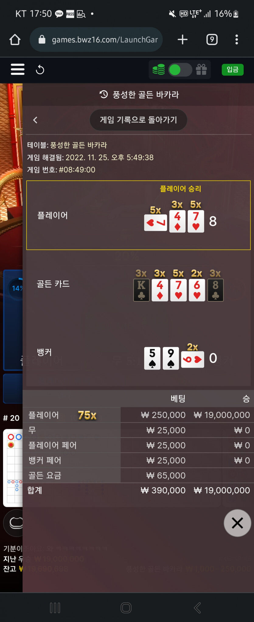 벳위즈후기(0)