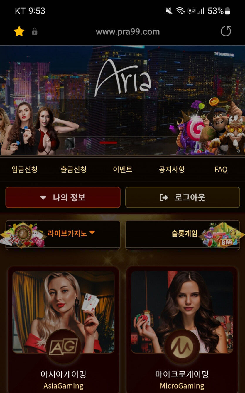 아리아카지노 후기(0)