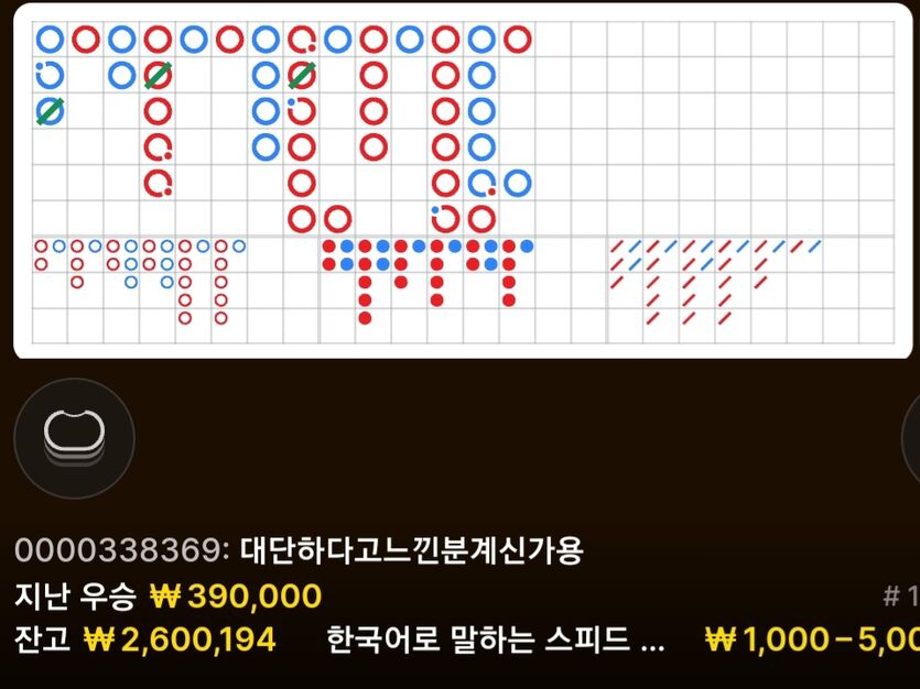 바카라 -800 복구기 3일차(2)