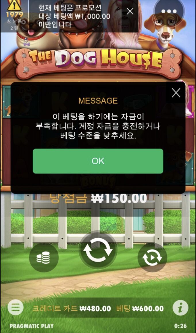 와ㅋㅋㅋㅋㅋㅋㅋ개집후기....(0)