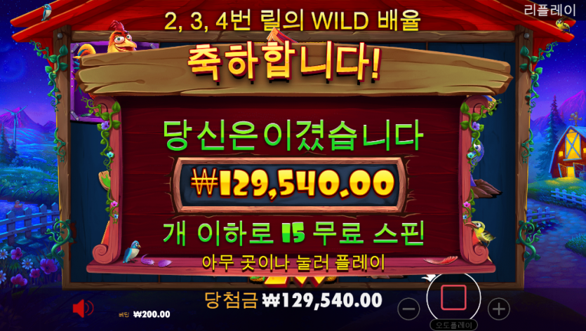 홈카슬롯 후기(2)