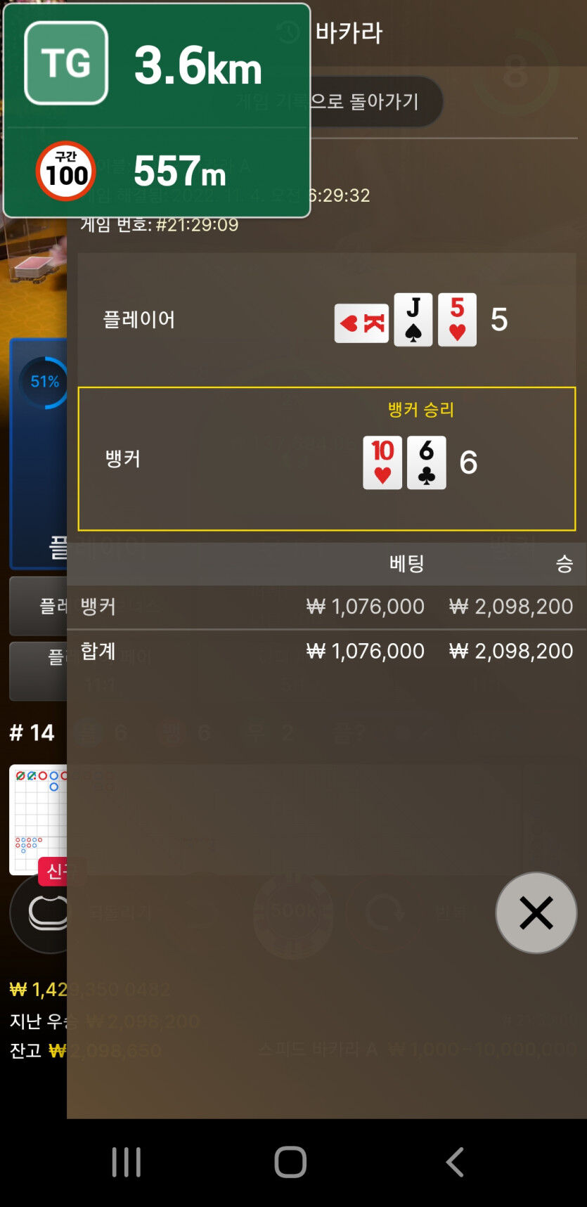 핑카 후기(0)