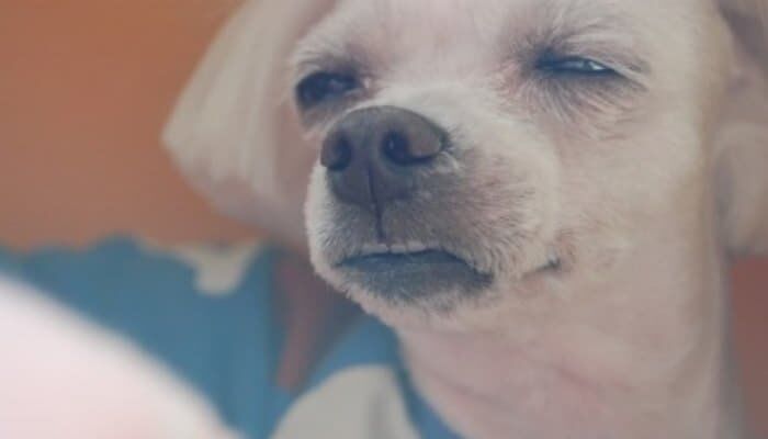 자니?(0)