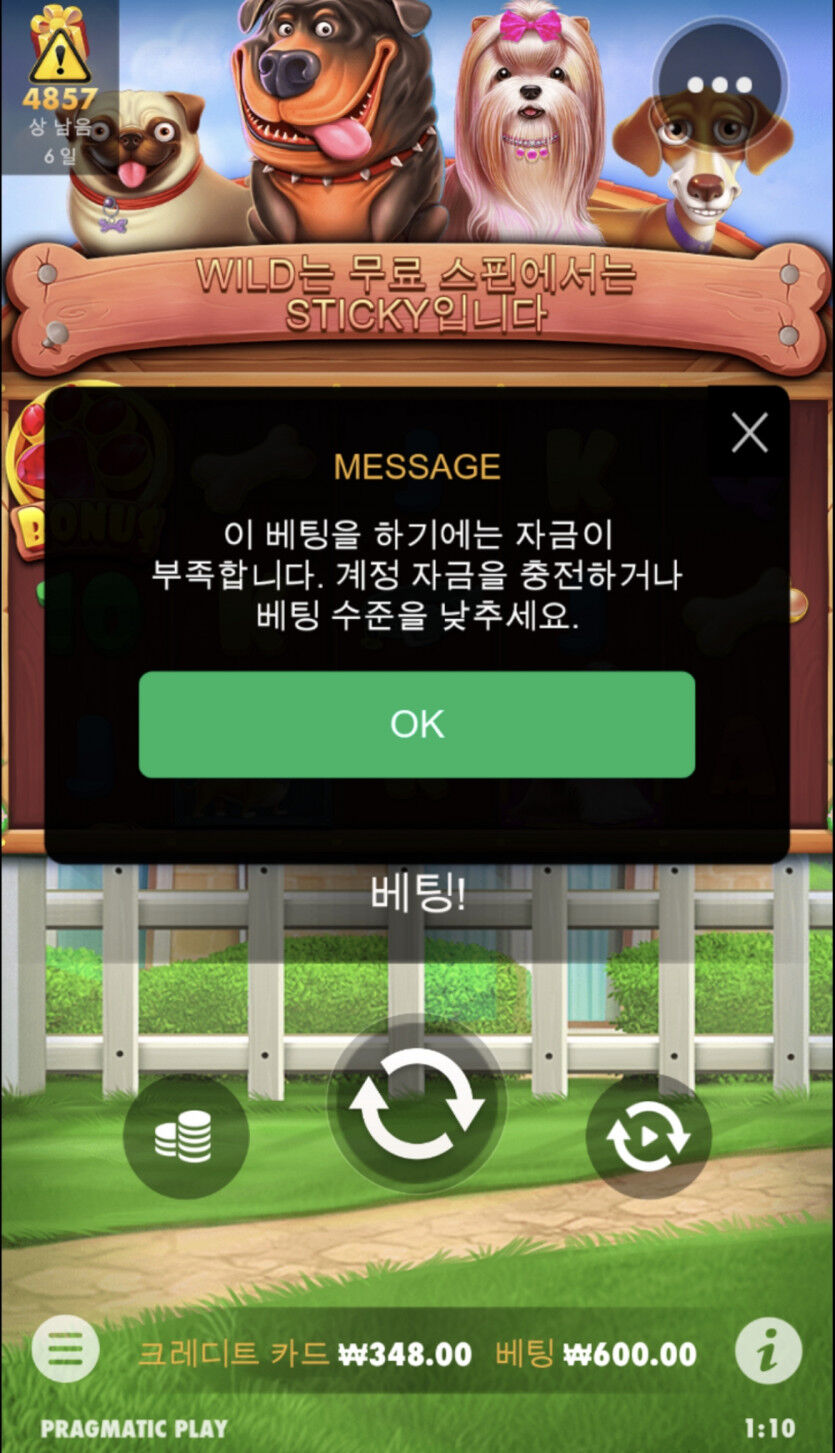 개집 후기....(1)