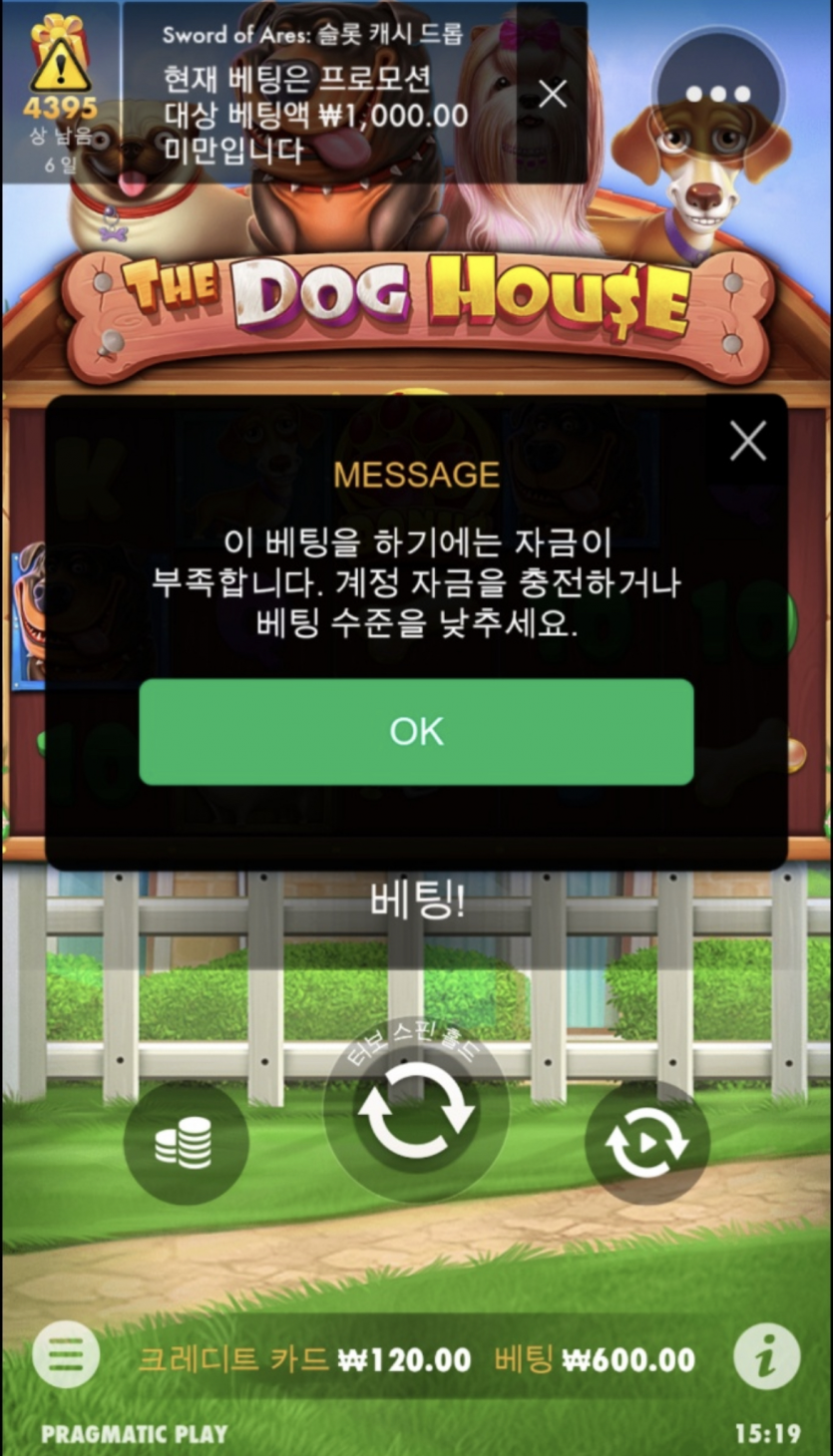 와 진짜 너무하네 개집(0)