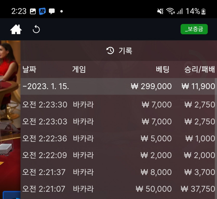 뱃위즈마감요(1)