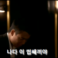 ↓↓ 누가 우리 갱이 때렸냐?(2)