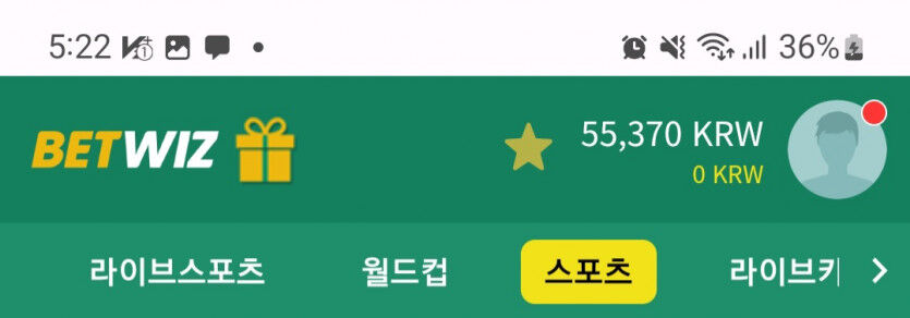 뱃위즈 잡리그후기(0)