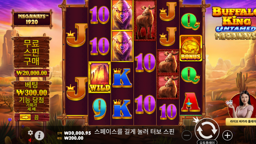 얀슬롯(1)