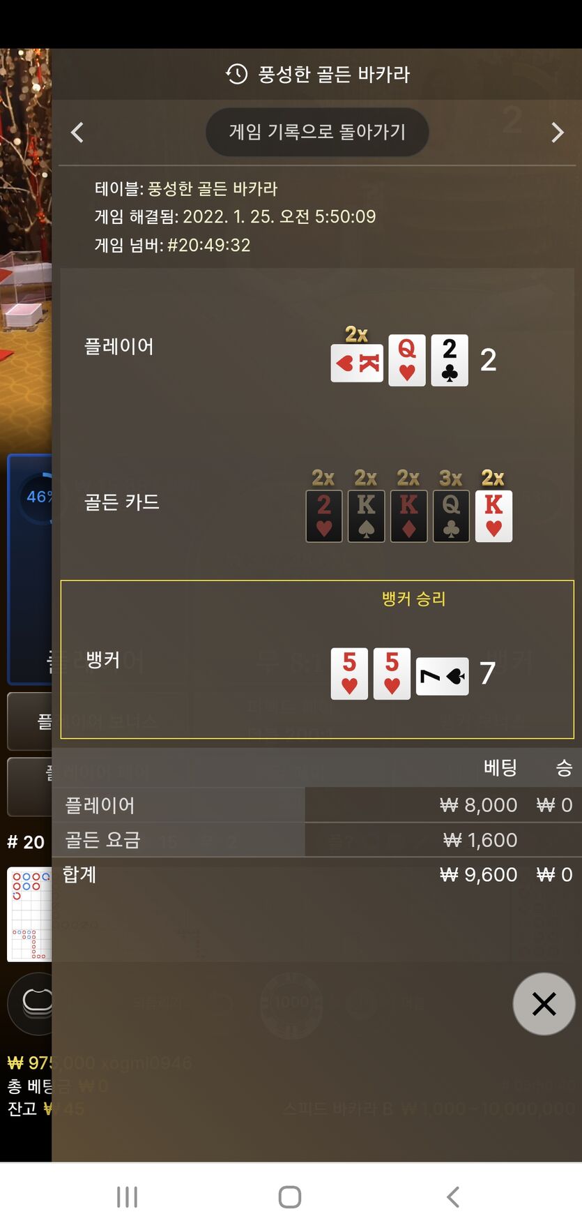 벳무브 후기(0)