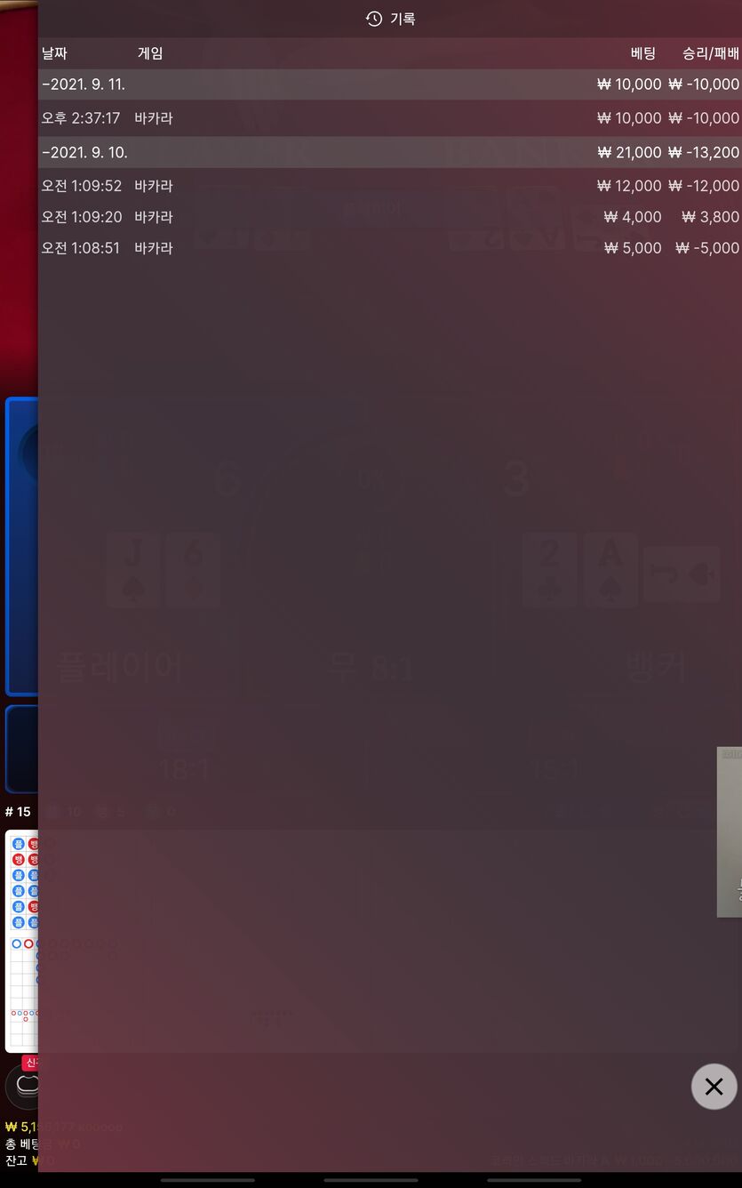 벳무브 후기(0)