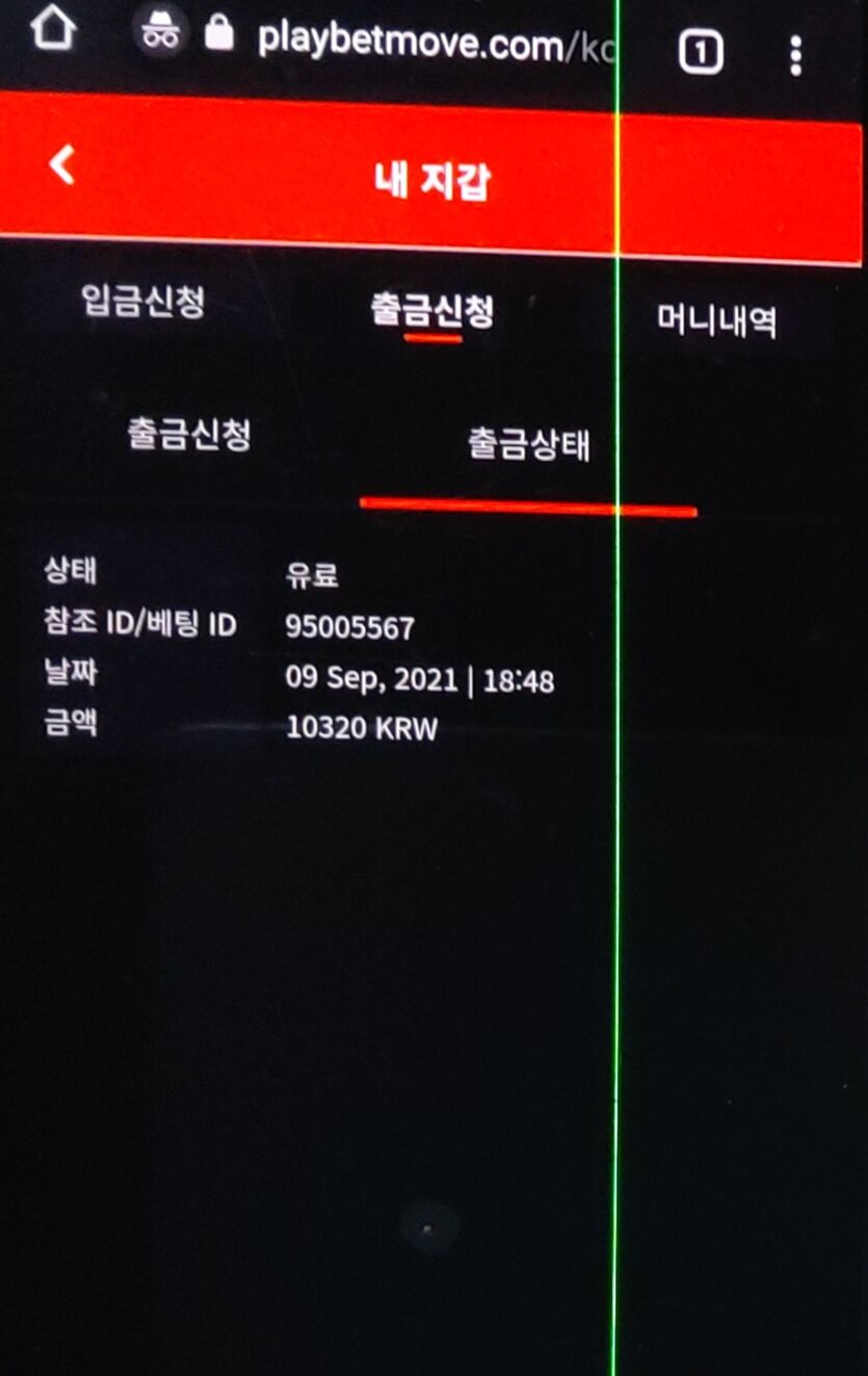 벳무브 후기(0)