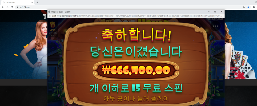 개집 좋네(1)