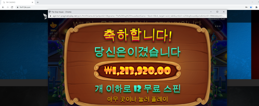 개집 좋네(0)