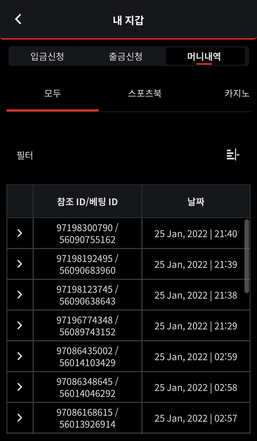 벳무브 후기(1)