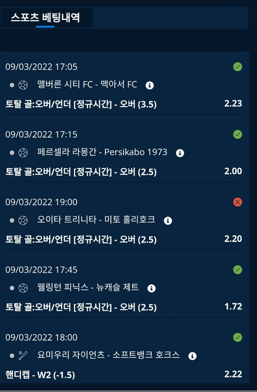 벳앤드 후기(0)