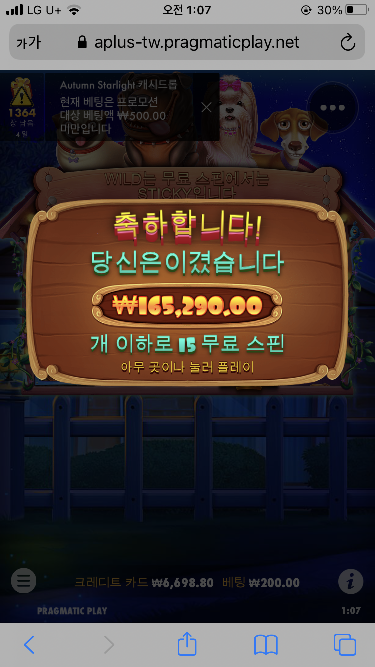 개집 재밌네요..(0)