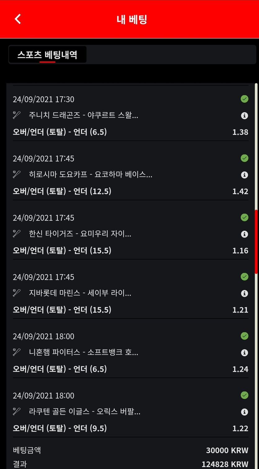 벳무브후기(1)