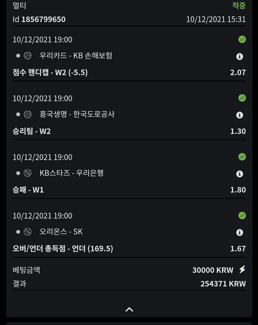 벳무브후기(1)