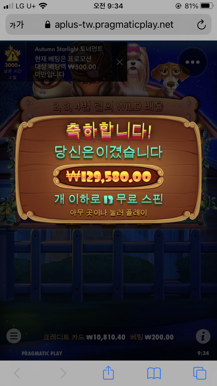 이렇게 되면 개집터진건가요??(0)
