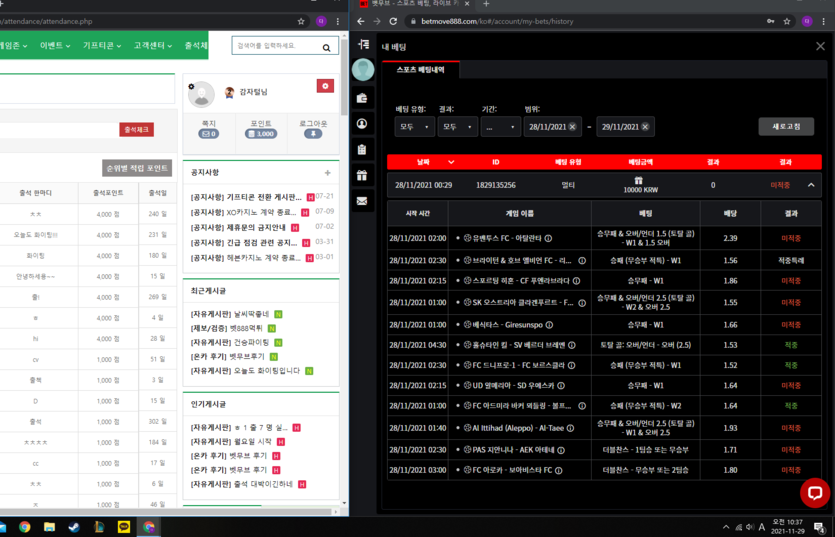 벳무브 후기(0)