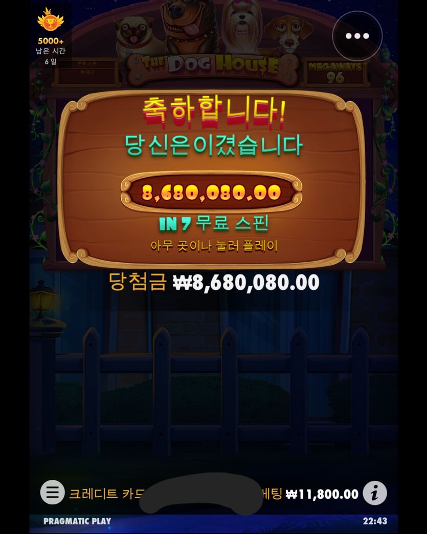 케이카(0)