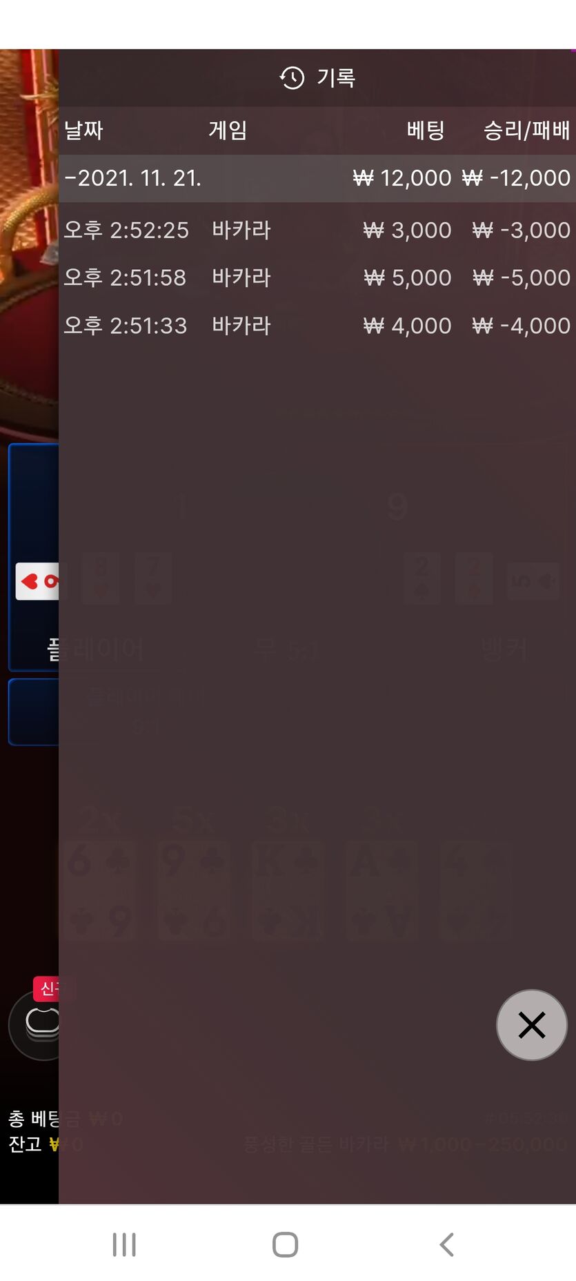 벳무브 후기(1)