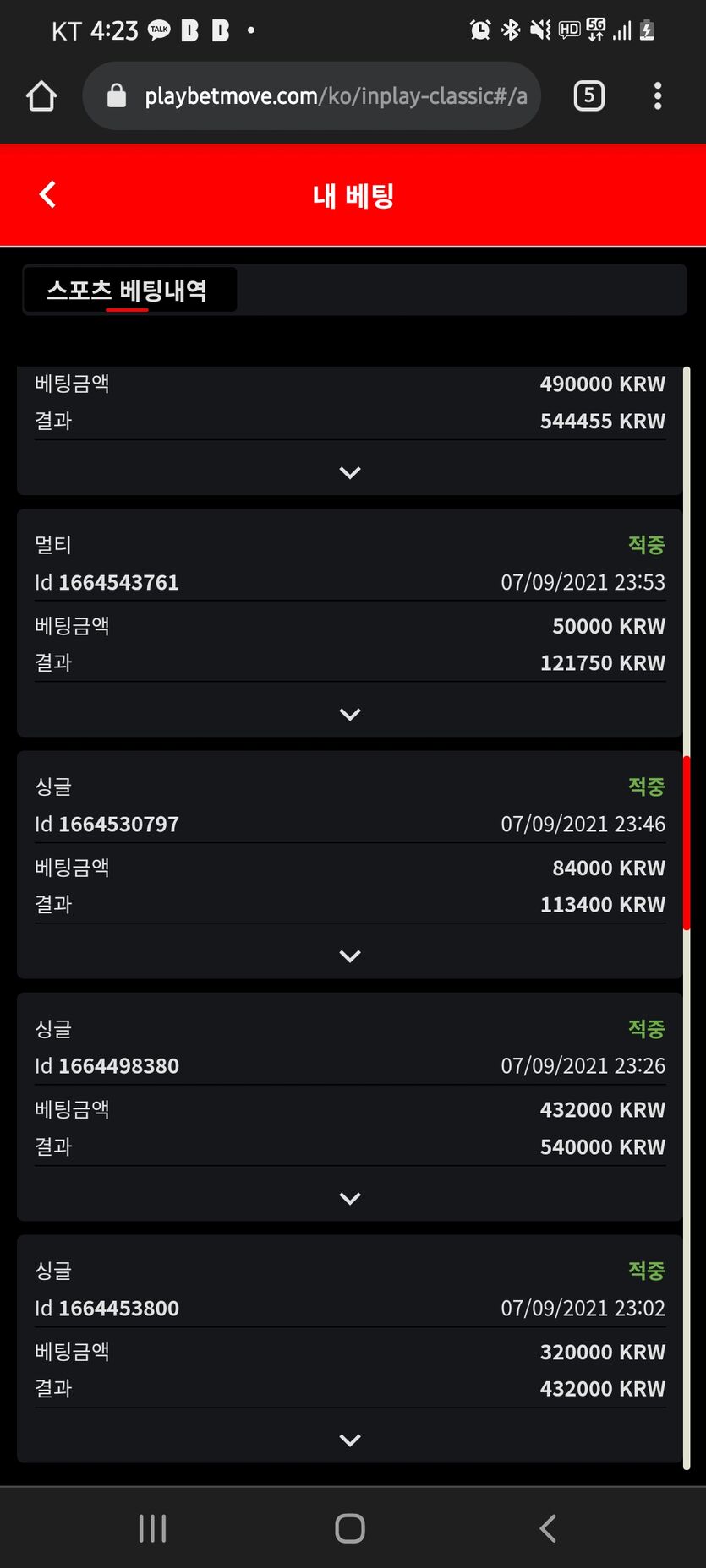 벳무브 후기(0)