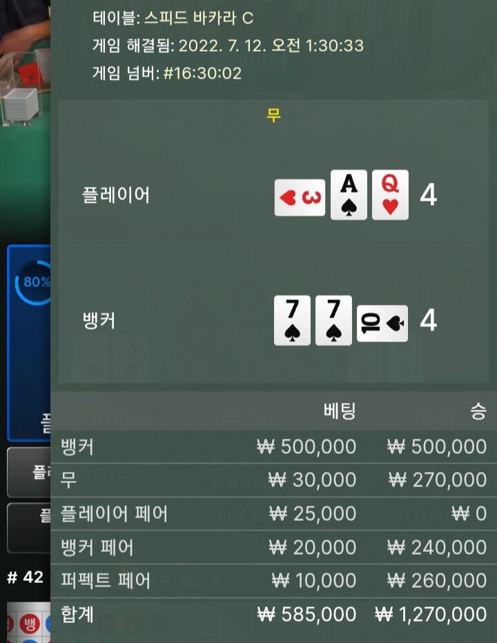 핑카 에볼 야간 300출 후기(1)