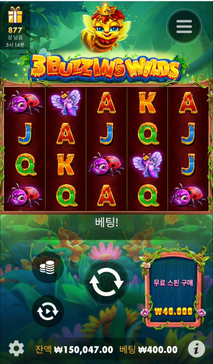 얀카지노 슬롯 후기요(0)