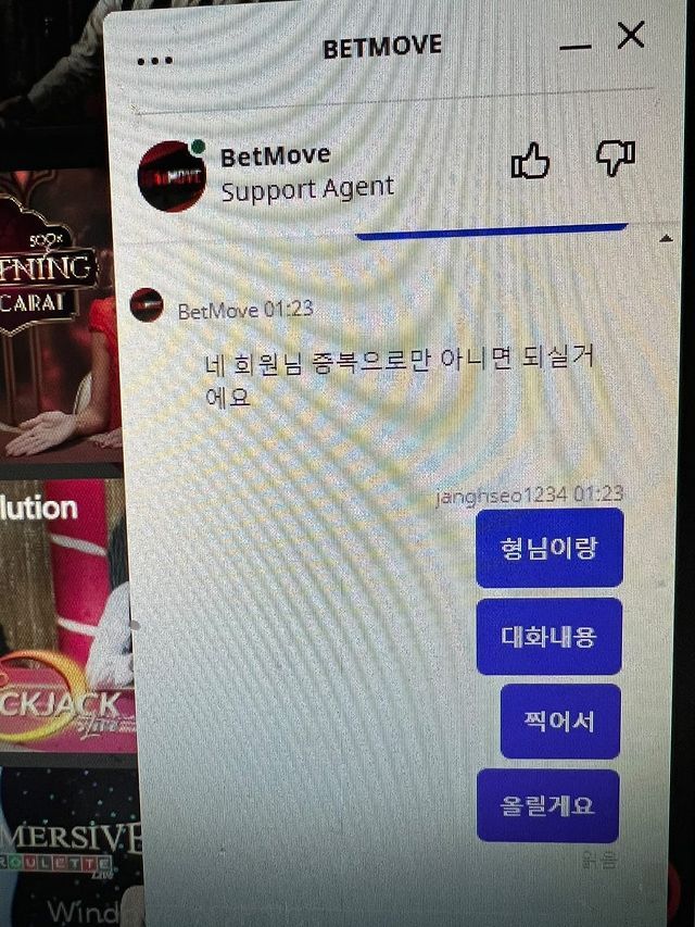 벳무브 후기(0)