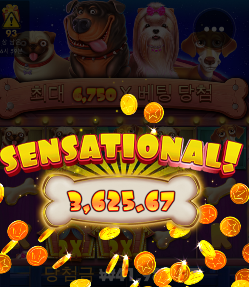 홈카 프리스핀(0)