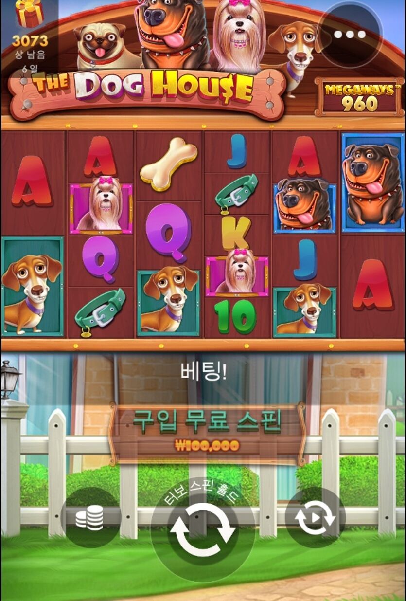 홈카 도그하우스(0)
