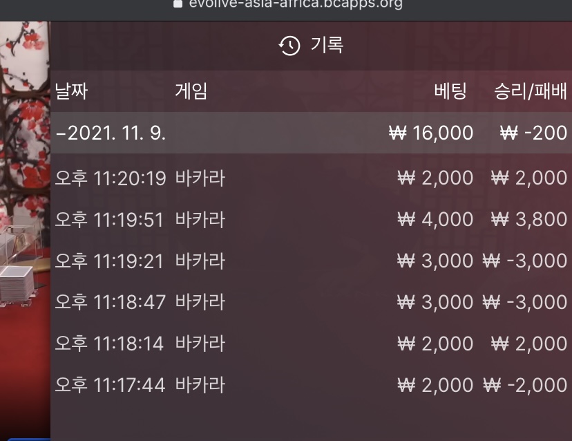 벳무브 후기(0)