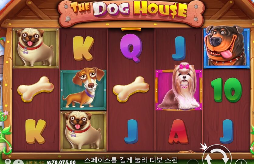 미ㅇㅇ 플  슬롯 후기(0)