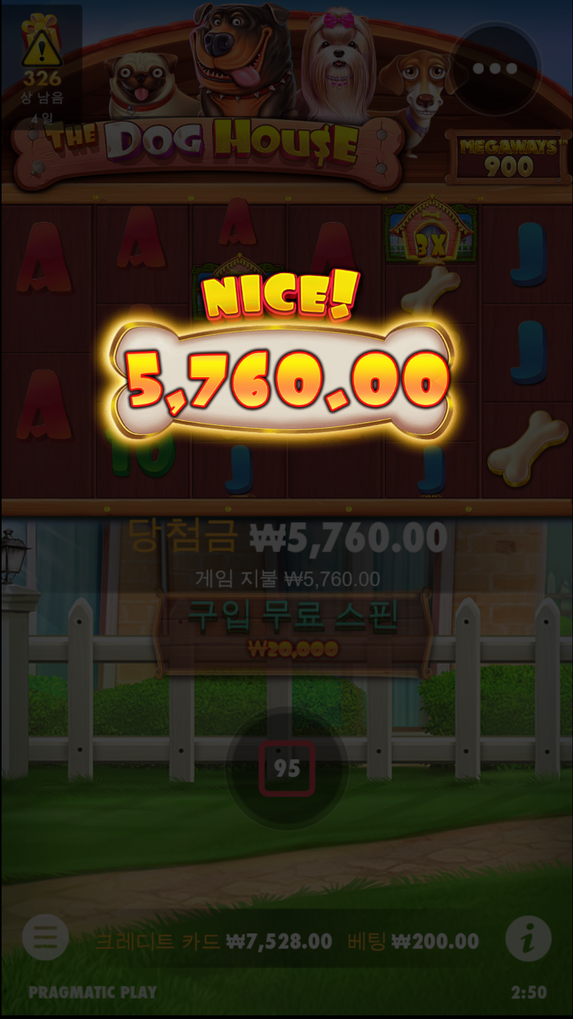 미스터@@후기(1)