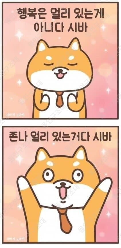 뱃엔드 후기(1)