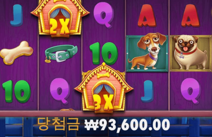멍멍이가 용돈 주네요ㅋㅋㅋㅋ(0)