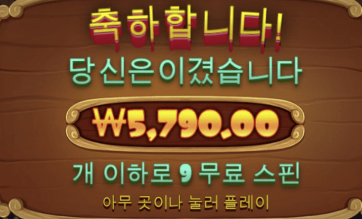 아침부터 개집방문(0)
