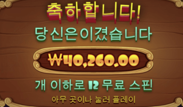 새벽 개집(0)