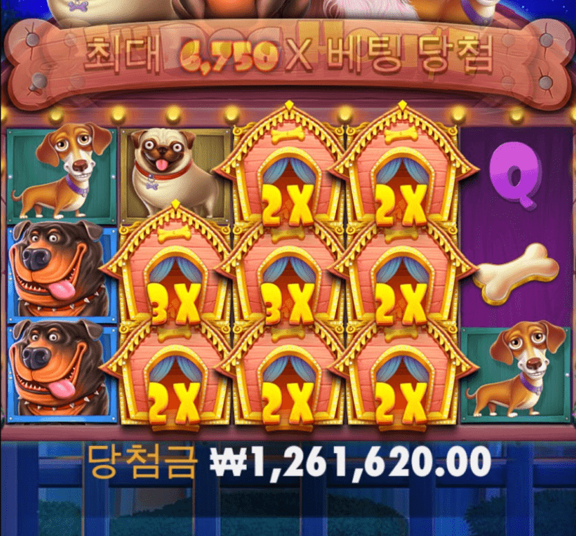 개집 개집하는 이유가 있네요 역시(0)