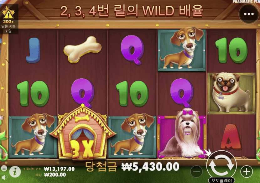 개집 너무 빡빡하네;;(0)