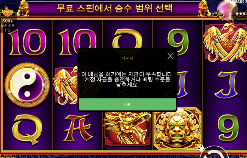 5라이온스 골드 후기(1)