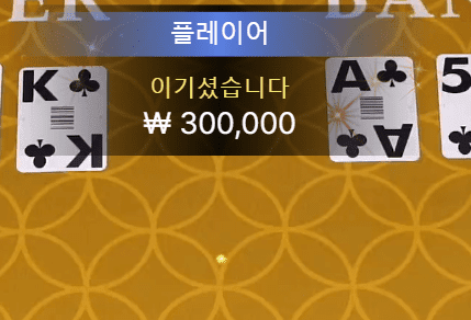 스피드 바카라 2깡 성공(1)