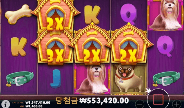 아침부터 개집 날이구나~~(0)