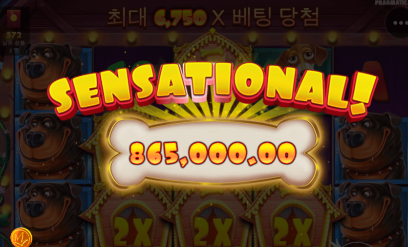 또 먹었어요~! 이번엔 개집 ㅋㅋ(0)
