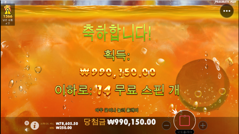 제왕 슬롯후기 - 김뿡뒷태갤러리(0)