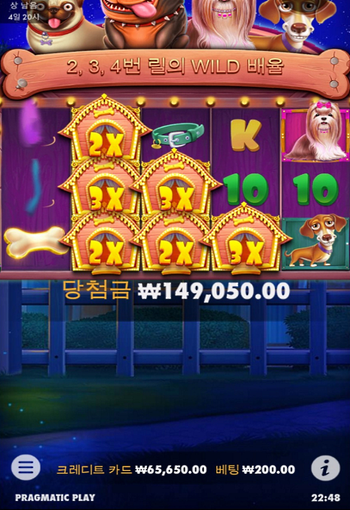 도그 하우스 200벳도 잘 터집니다(0)